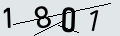 verifycode